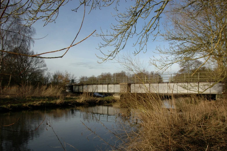 a bridge crossing a stream surrounded by tall grass