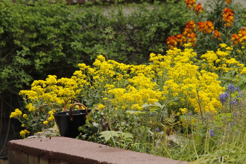 flowers and weeds are planted along a brick wall