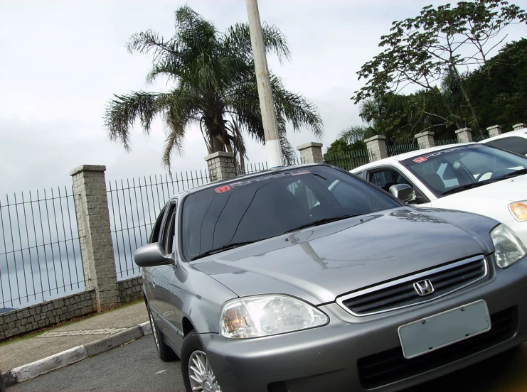 a couple of parked cars near a fence and palm trees