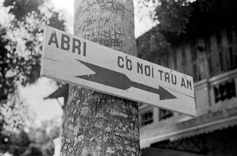 a sign posted on a tree points toward an asian restaurant