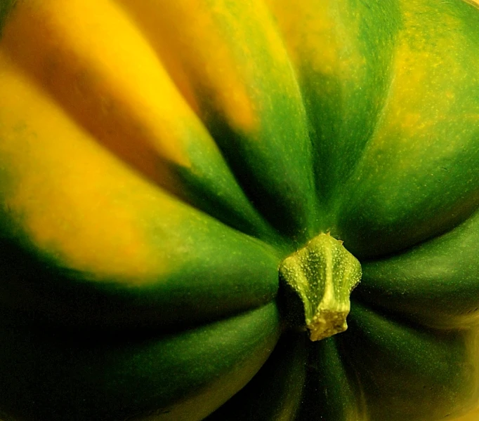 a large green and yellow flower on a plant