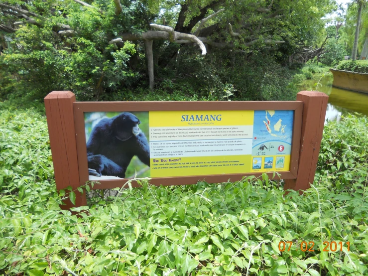 an information board that is sitting in the grass