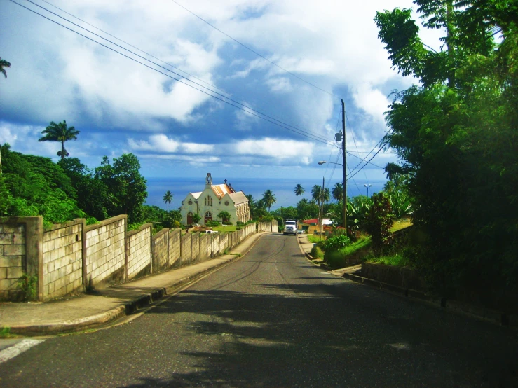 this is an image of a street with a lot of trees and rocks