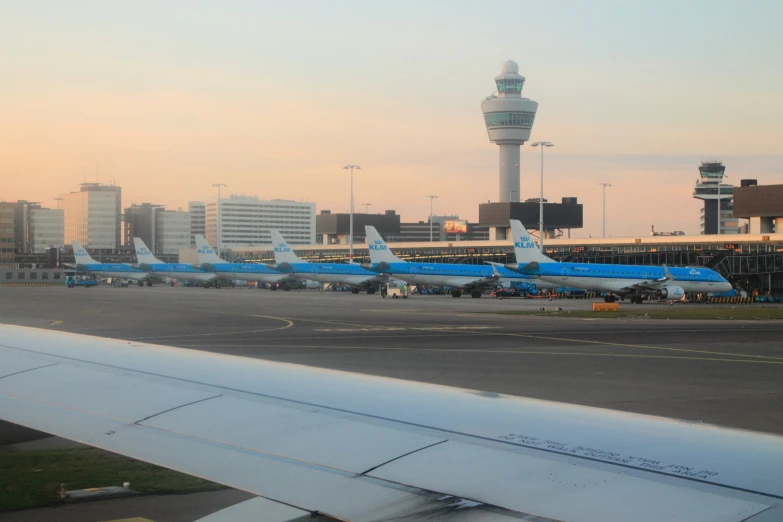 a bunch of blue planes sitting at an airport