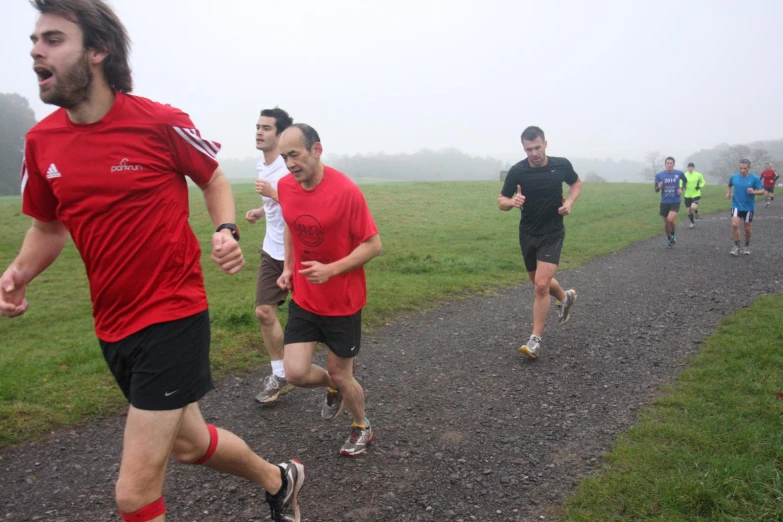 four runners make their way down a trail