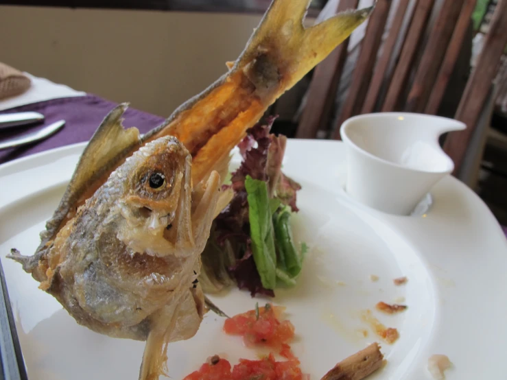 a plate with an oddly shaped fish on it and some food on top of it