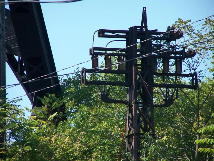 an electric pole in the middle of the woods