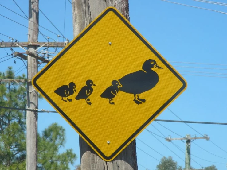 an odd yellow sign has four birds on it