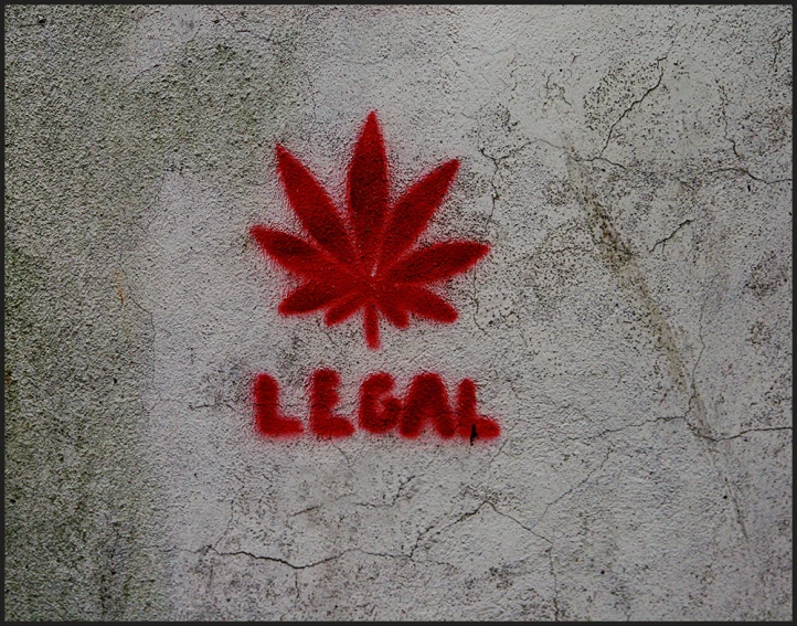 the word legal painted on a cement wall