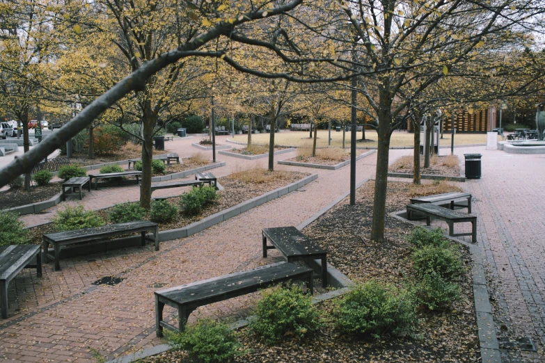 there are a lot of benches in the park