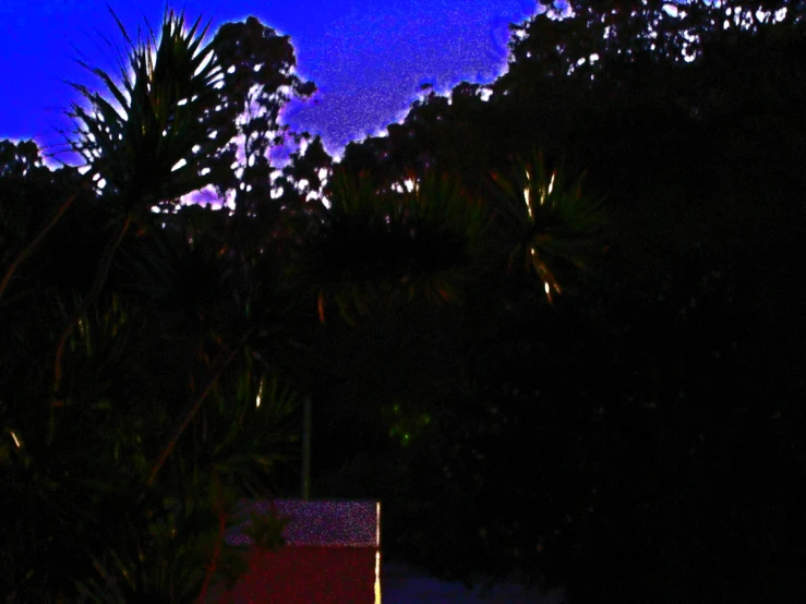 some trees bushes and a red shed and purple sky