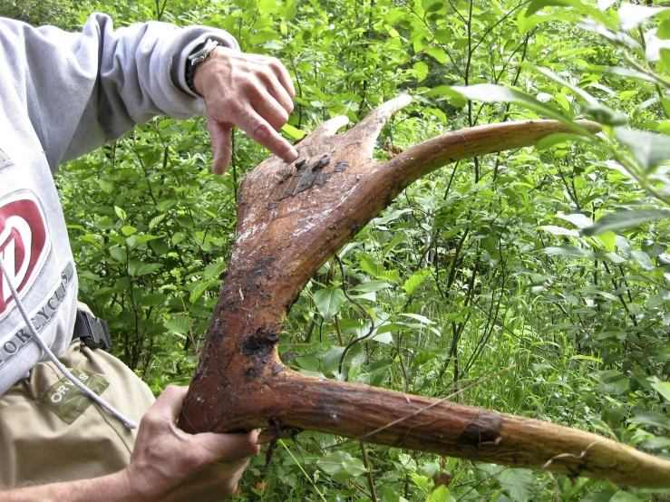 a man stands in the brush with his arm around a stick