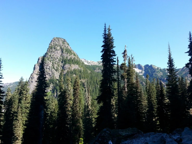 pine trees line the edge of a mountain range