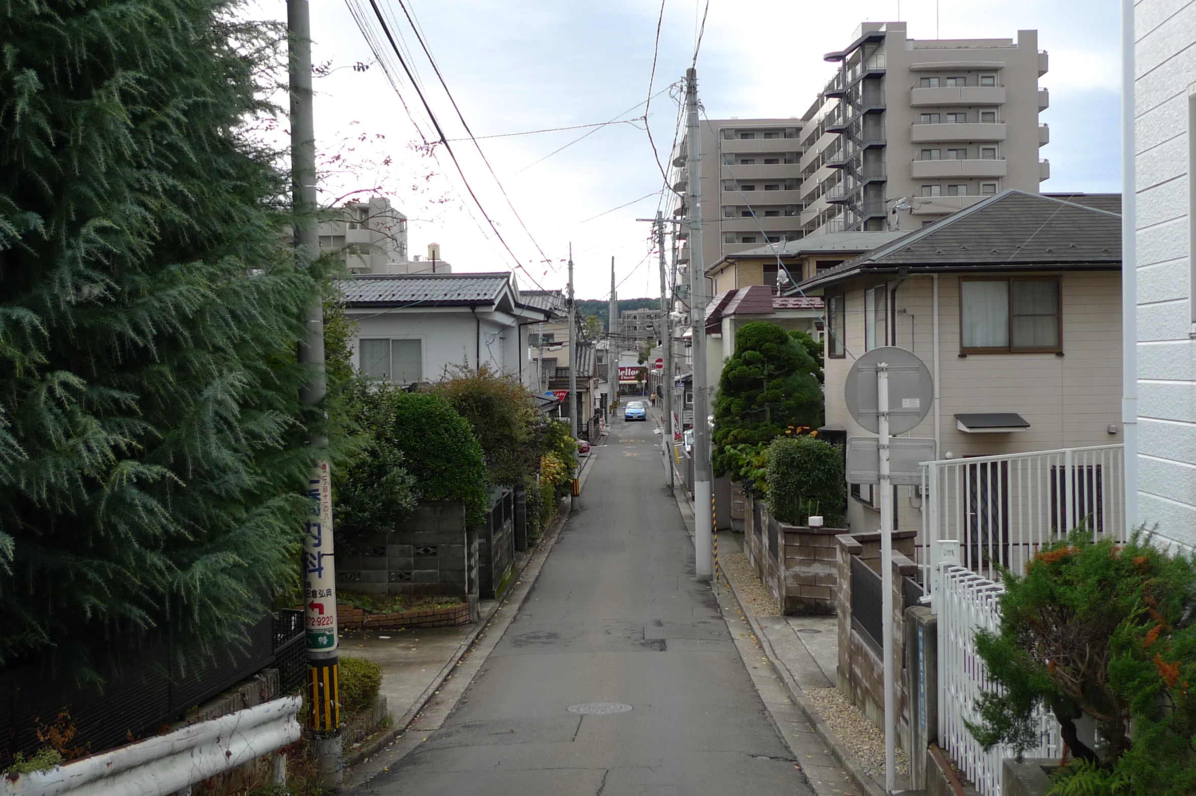 an empty alley on an empty street with parked cars