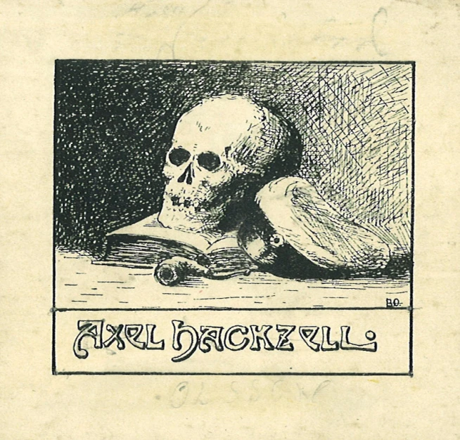 a cartoon skull laying on a book cover with a book title under it