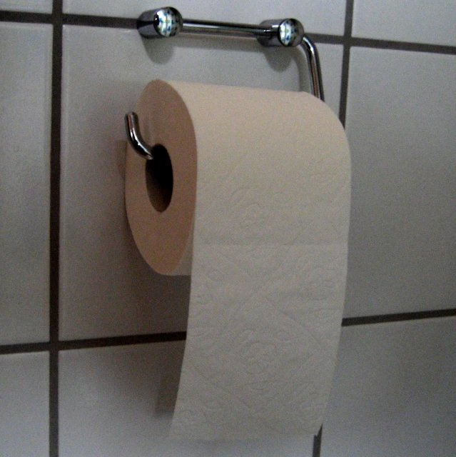 a white wall mounted toilet paper on top of a roll of toilet paper