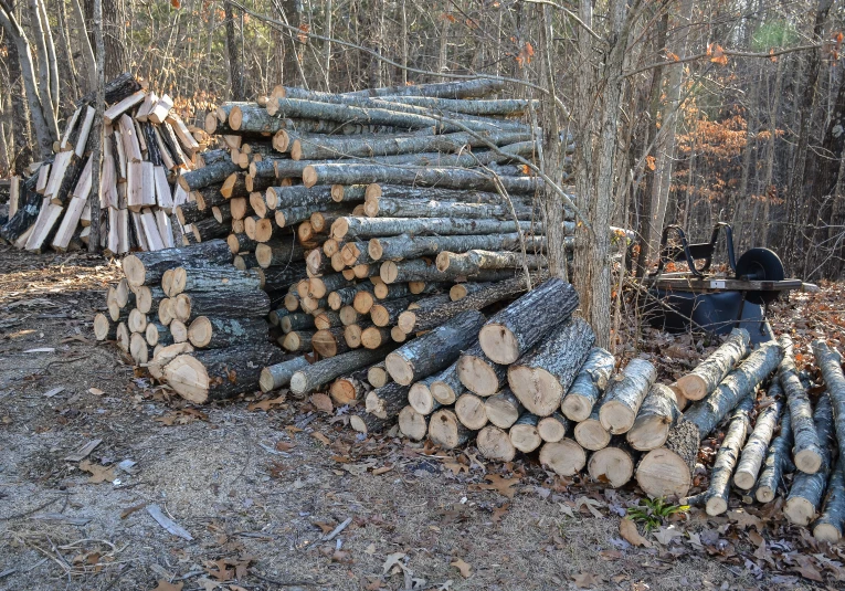 piles of chopped logs are stacked on top of each other