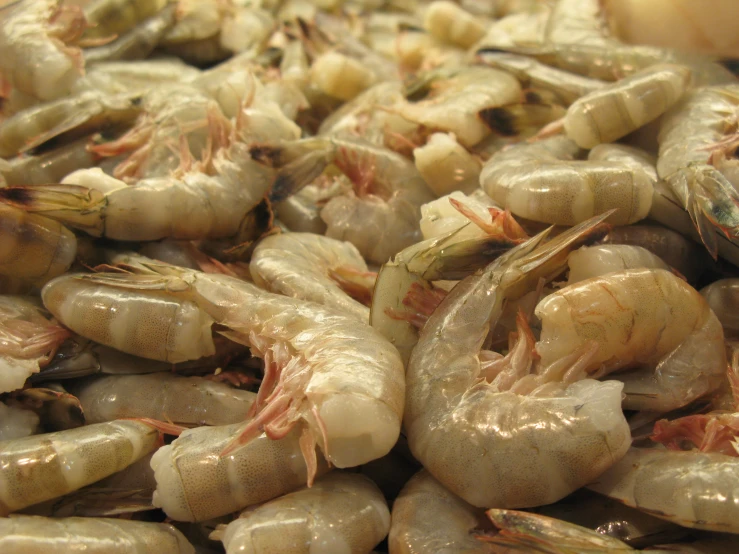 closeup of a cluster of shrimp with water on top