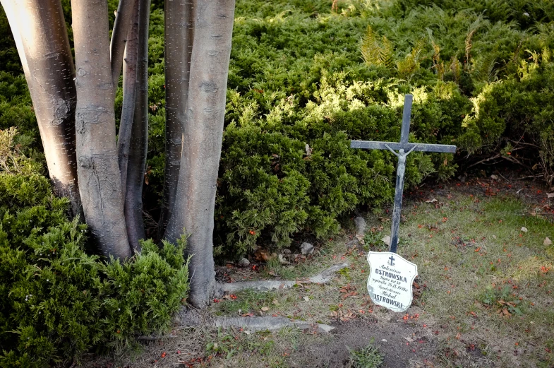 a cemetery is decorated with crosses and flowers