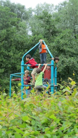 a group of children climbing onto a playground