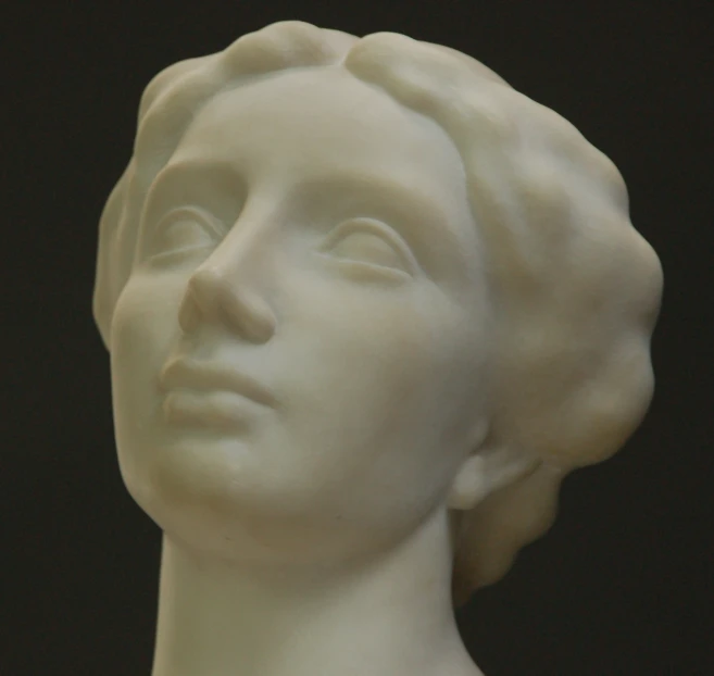 closeup view of the bust of a woman's face