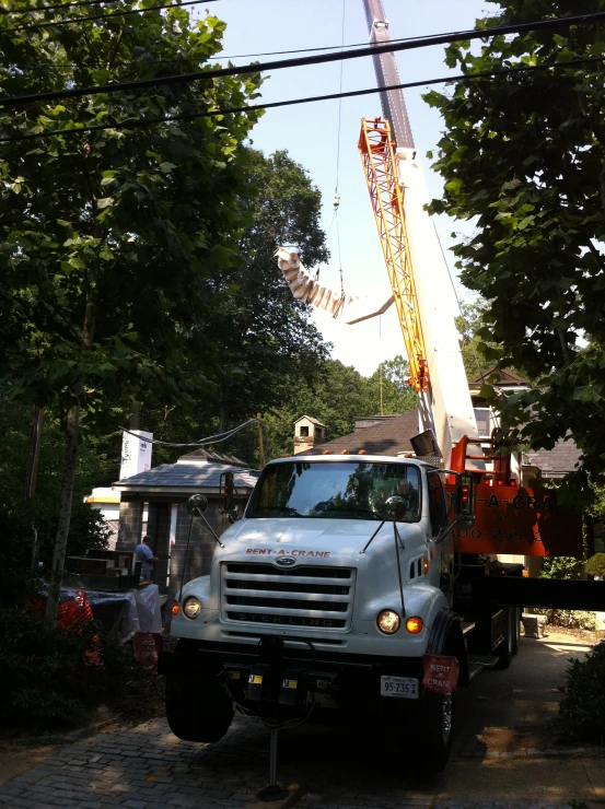 tow trucks with equipment in street near trees