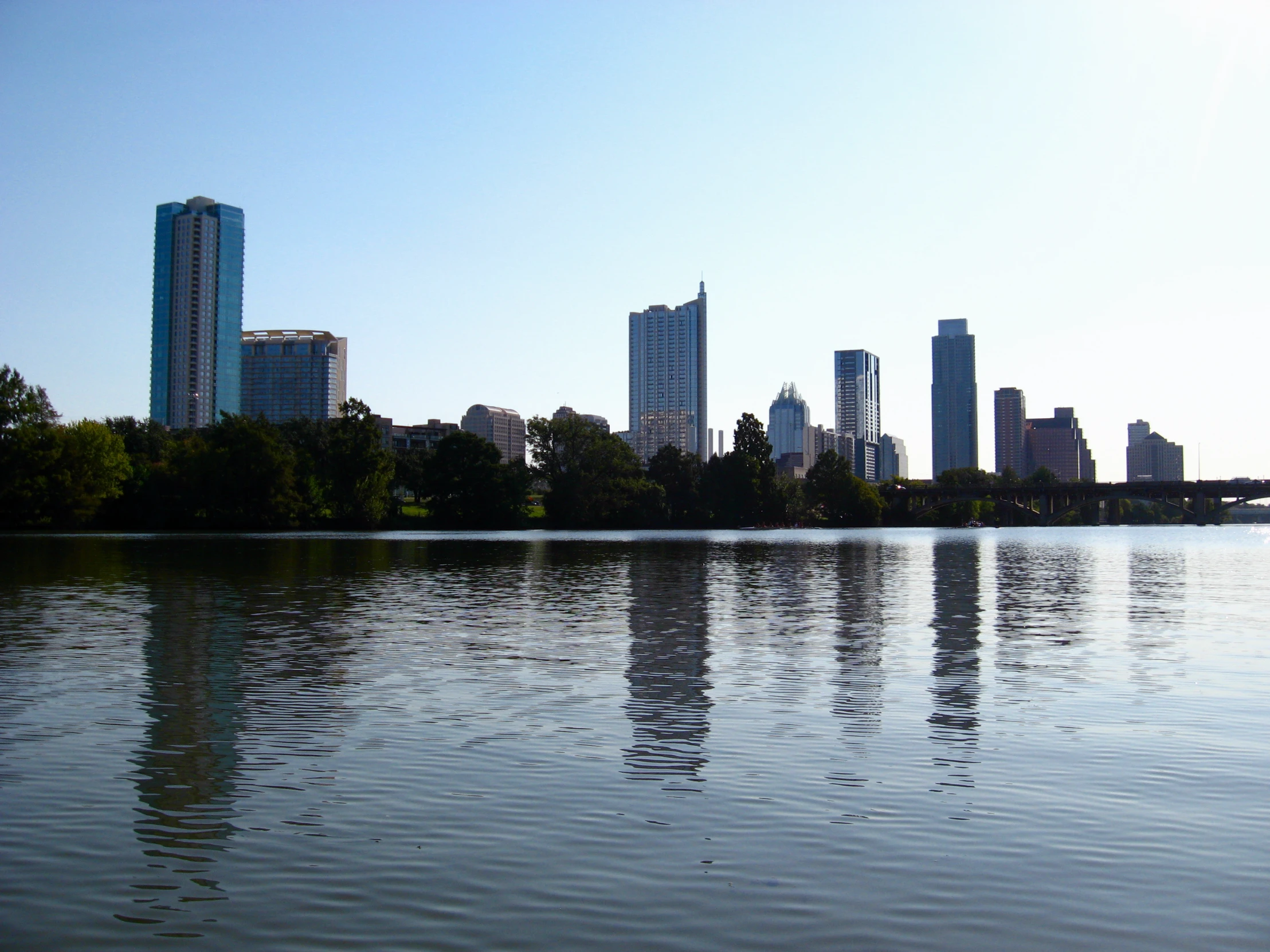 a body of water with lots of trees around it