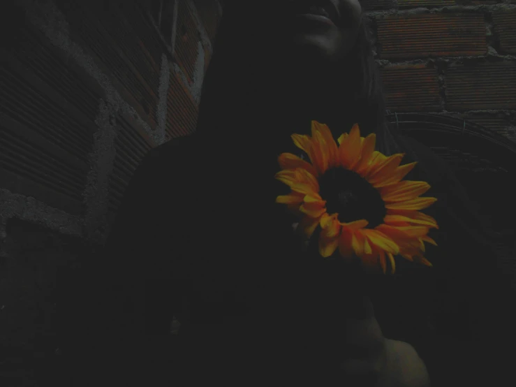 a girl holding a sunflower by the wall