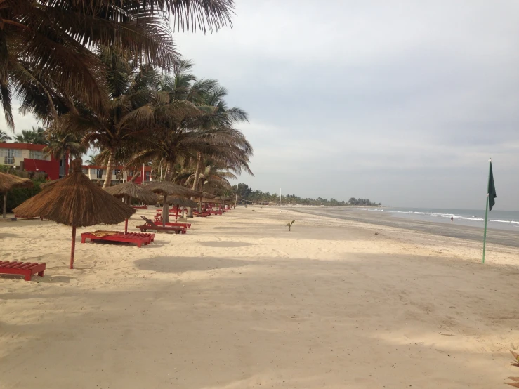 beach scene with palm trees and lounge chairs