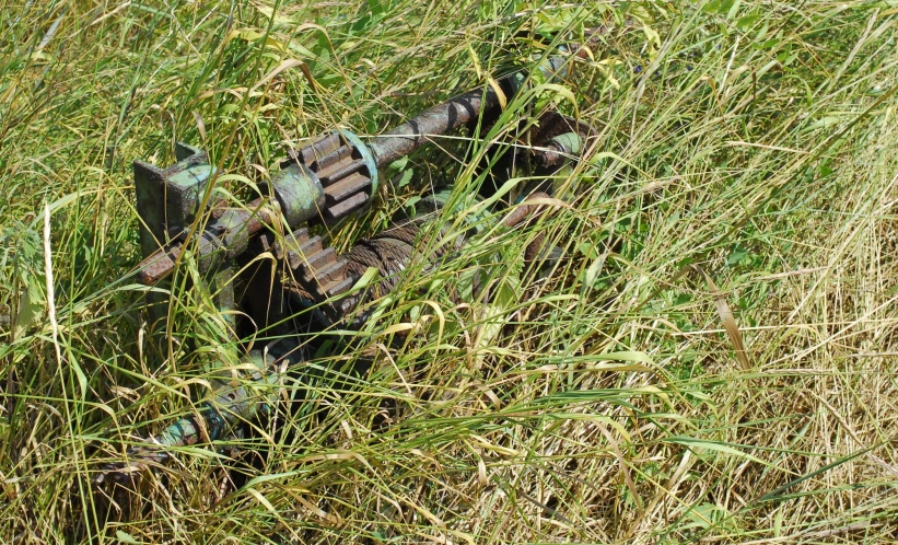 an abandoned water pipe lying in the grass