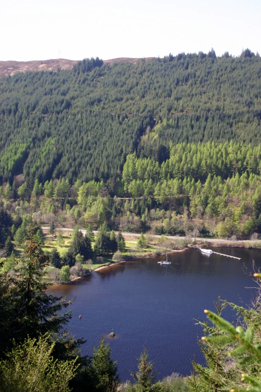 a lake surrounded by lush green trees near a forest