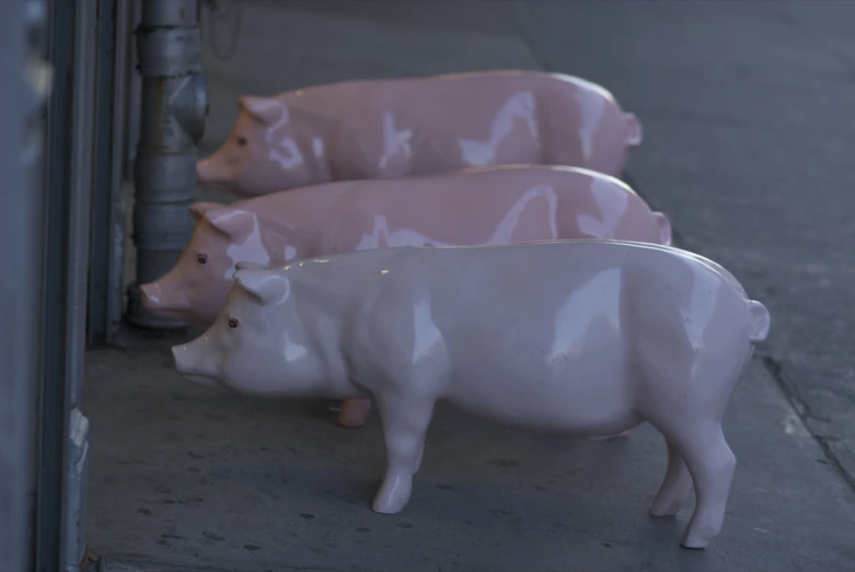 two pink pigs next to a wall