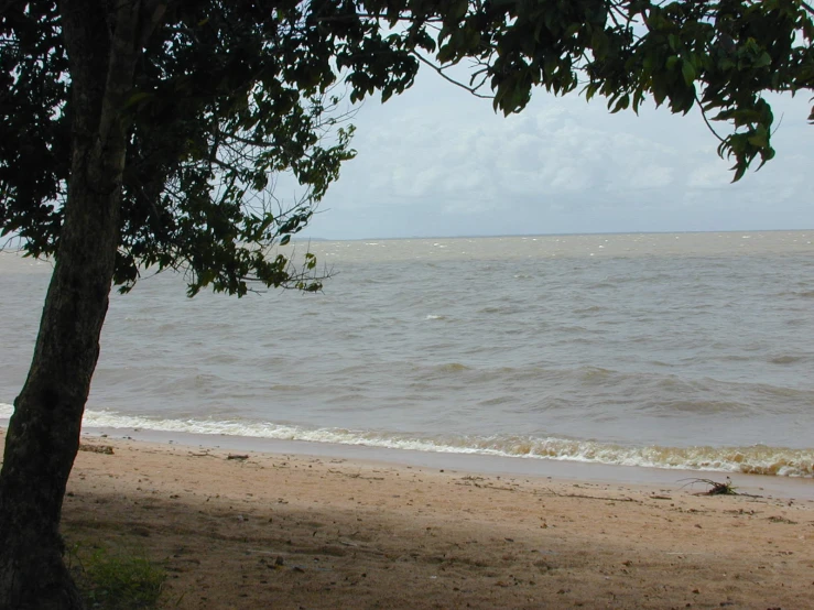 the people are in their canoes and out on the water