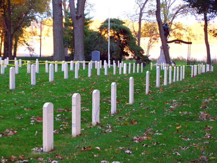 a row of tombstones near the trees in a cemetery