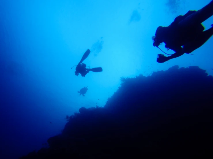 several divers in the ocean looking up at a ship