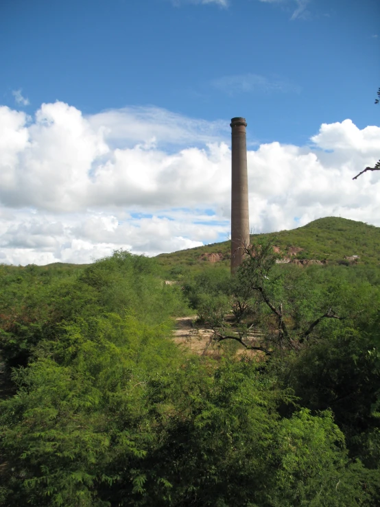 a chimney is standing above the trees and bushes