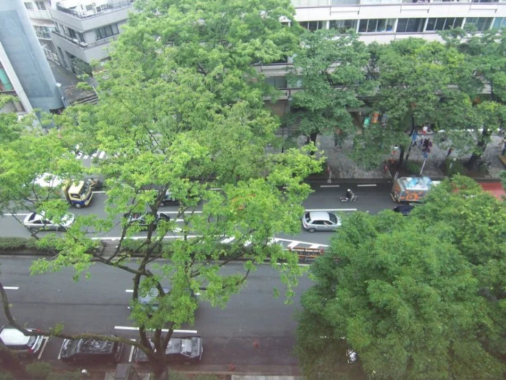 view from top floor looking down at trees and cars in traffic