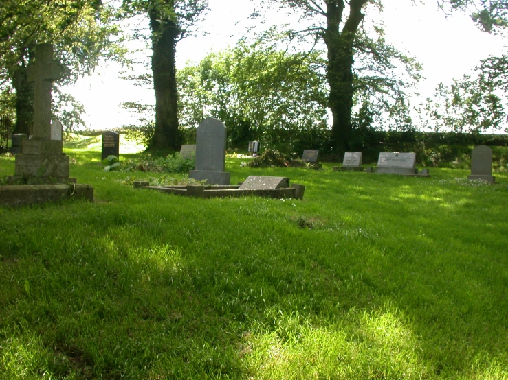 some headstones sit in the grass by trees