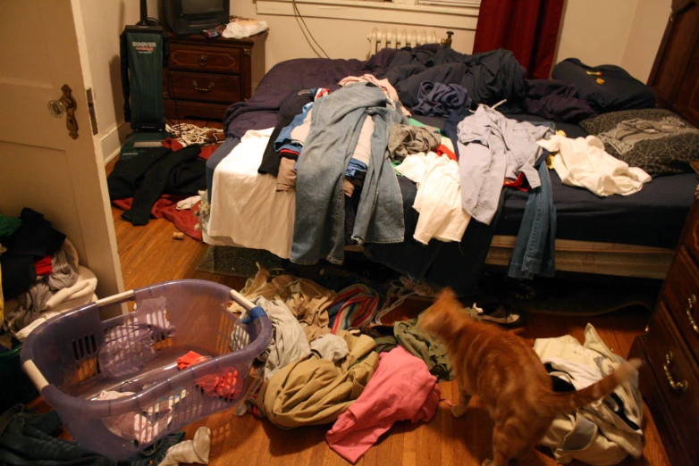 the room is cluttered with clothes and a cat near the bed