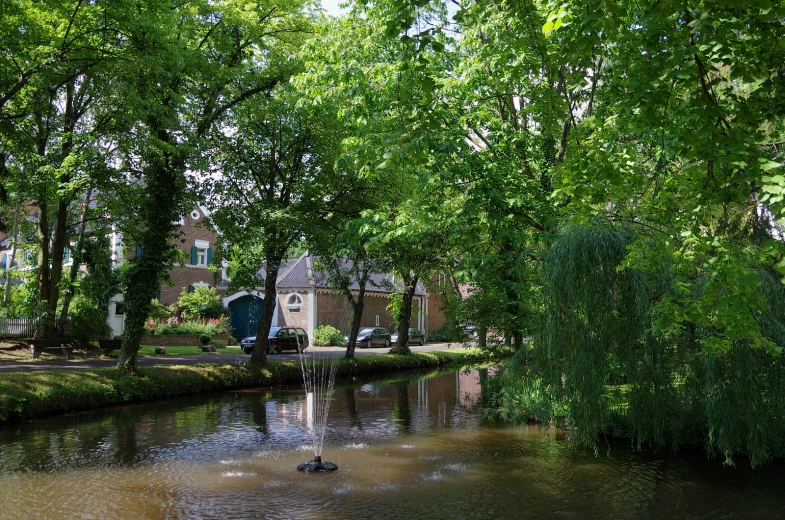 a small pond in front of a building near trees