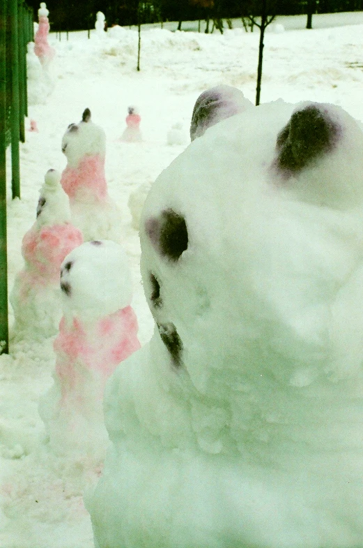 snow bears are lined up along a snowy path