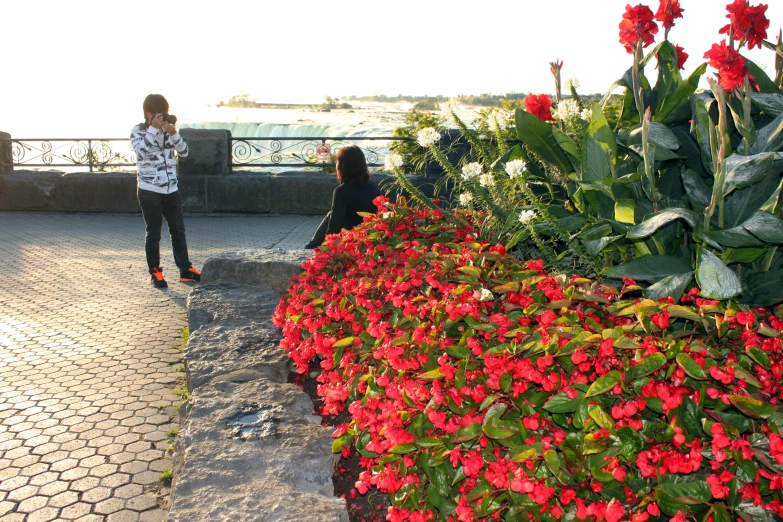 two people standing on a walkway near flowers