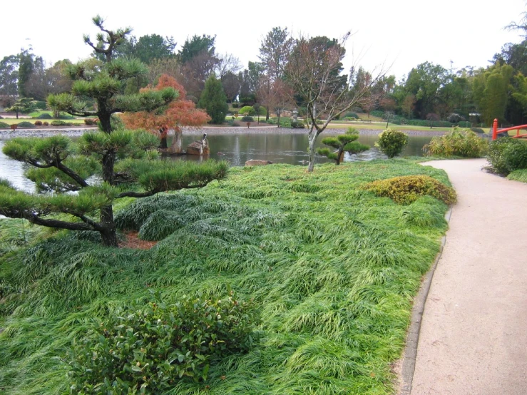 there is a pathway going around a pond in the park