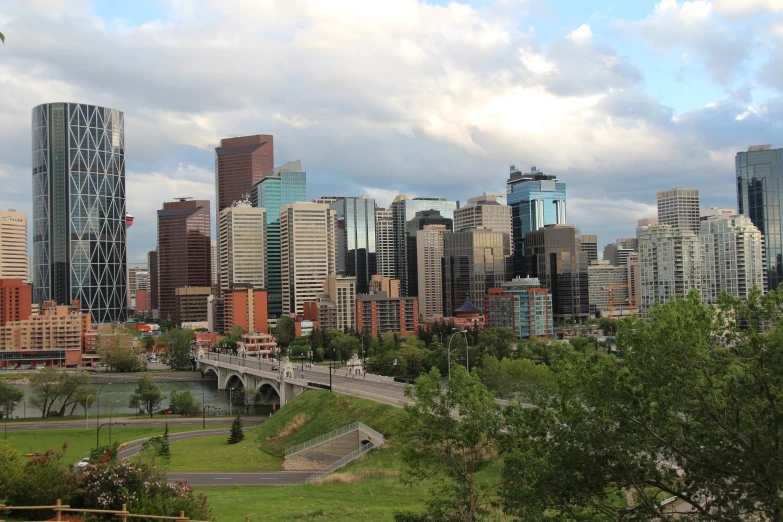 a cityscape shows many tall buildings in the background