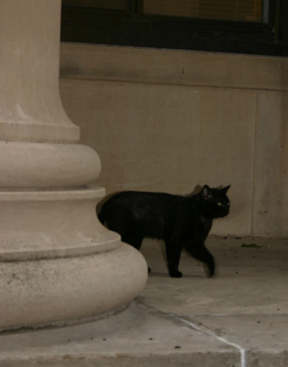 a black cat climbing up the corner of a white door