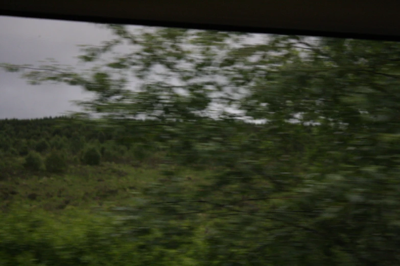 a picture of a tree with dark clouds in the background