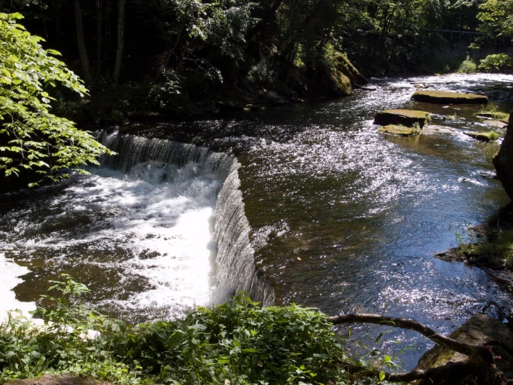 the flowing rapids of a river, with trees around them