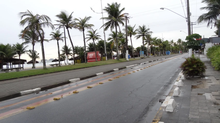 a street with many palm trees on the side