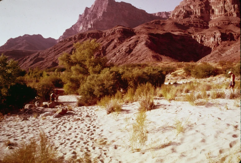 mountains with sp vegetation and dirt on either side