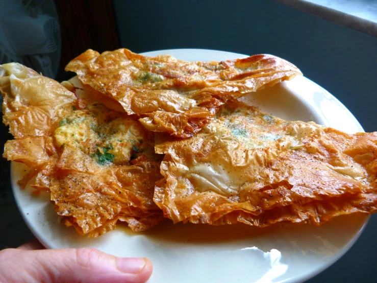 fried appetizer on a plate with someone holding the plate